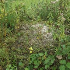 Kalvária, kaplnka krížovej cesty