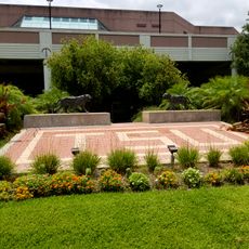 Health and Physical Education Arena