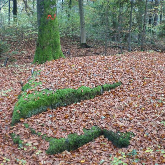 Cultural heritage D-5-6533-0111 Brunn