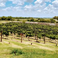 Winery & Vineyards BordeRío