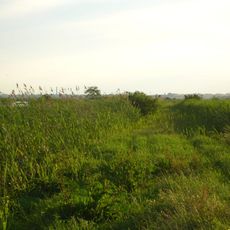 Nature reserve Łąki Ślesińskie