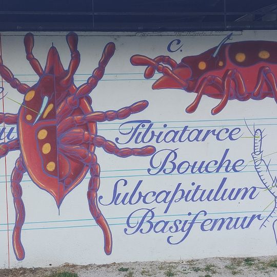 Wandmalerei, Kunstwerk