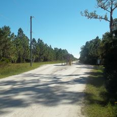 Myakka State Forest