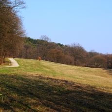 Todtenwiese