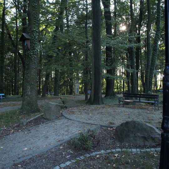 Palace park in Wodzisław Śląski - Kokoszyce