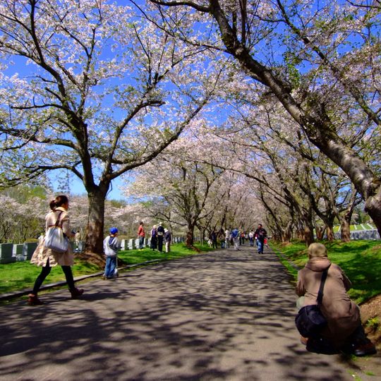 Toda commemoration graveyard park