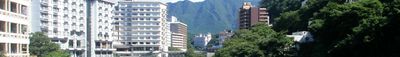 Panoramic View 1