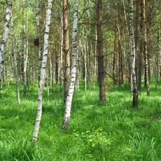 Běleč – střelnice