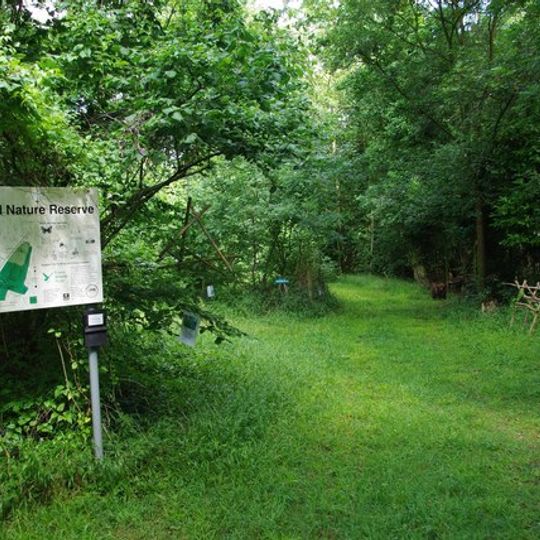 Hales and Shadwell Woods