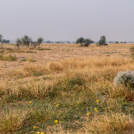 Parc national de Desert