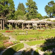 Berkeley Rose Garden