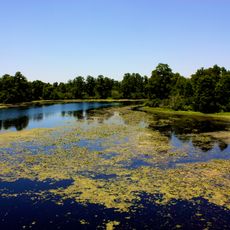 Lettuce Lake Park