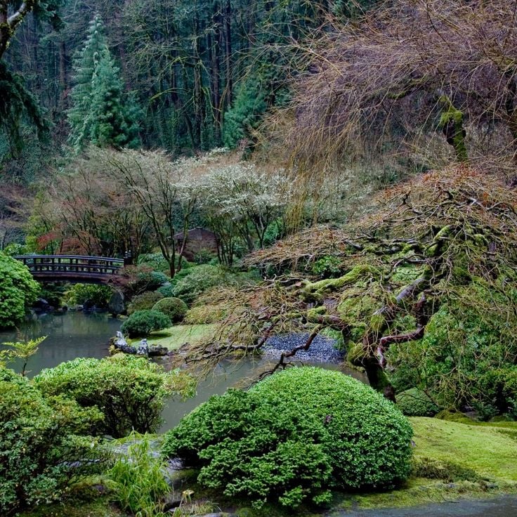 Jardin Japonais de Portland