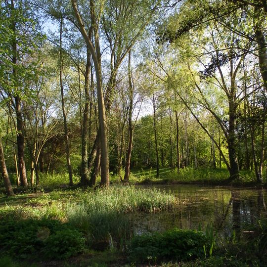 Reinhold-Schulz-Waldpark