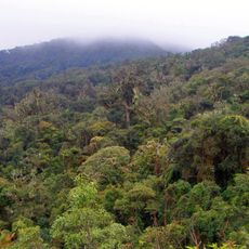 Nationalpark Amboró