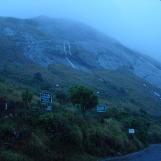South Western Ghats montane rain forests