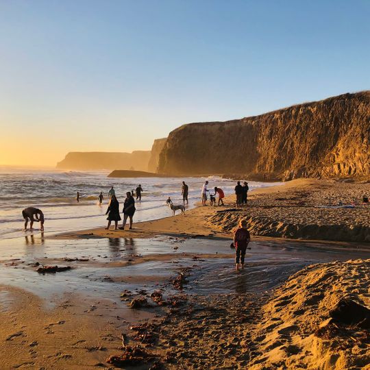 Davenport Landing Beach