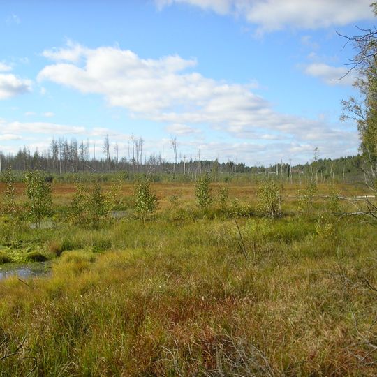 Karelian Isthmus