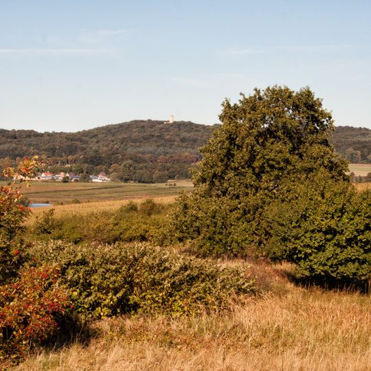 Neuensiener und Selliner See: Hügel bei Neuensien