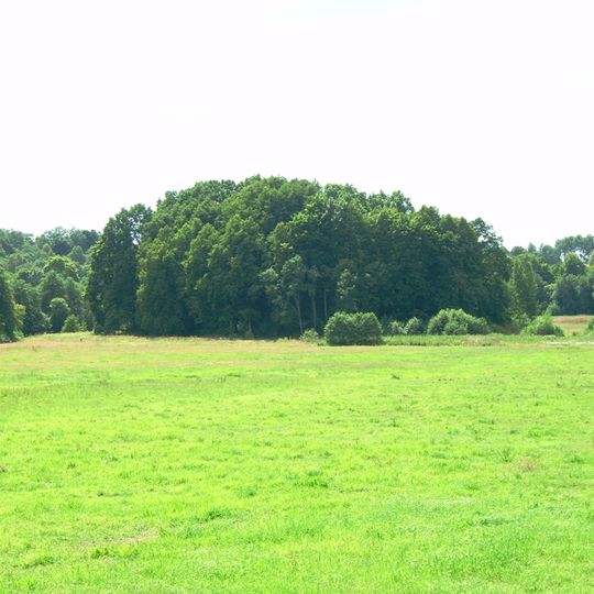 Biržų Laukas hillfort
