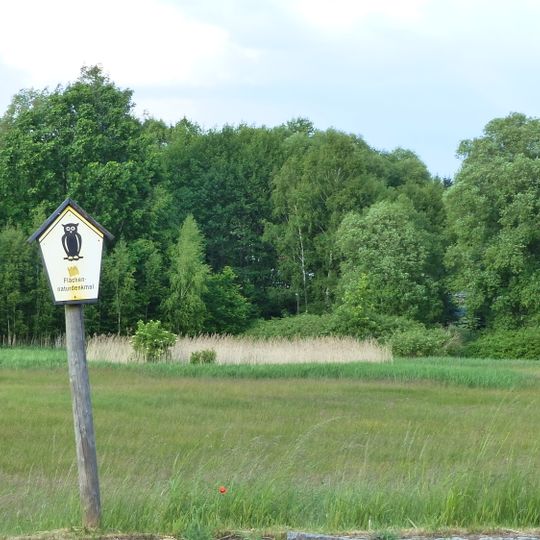 Wiesen an der Radeburger Straße