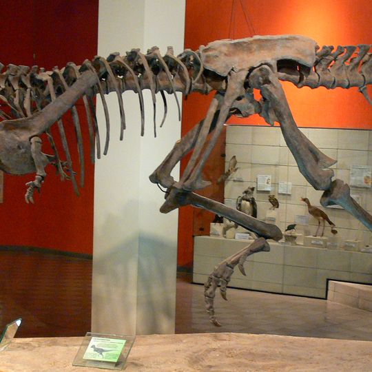 Museu de Ciências Naturais da PUC Minas