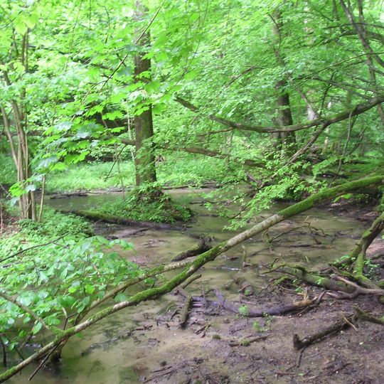 Górzno-Lidzbark Landscape Park