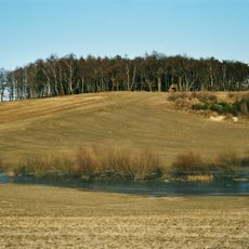 Dammer Berge