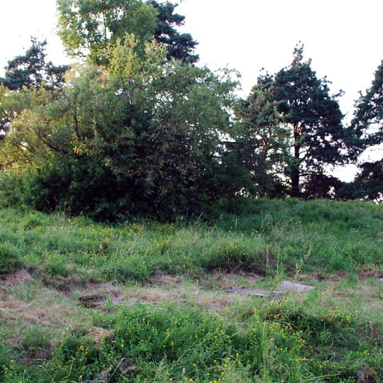 Nowy cmentarz żydowski w Sejnach