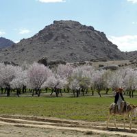 Zabul Province