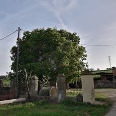 Lledoner de Can Llobet