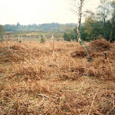 Two bowl barrows at Berry Wood