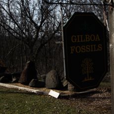Gilboa Fossil Forest