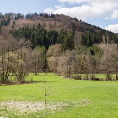 Felsen und Hangwälder im Altmühl-, Naab-, Laber- und Donautal