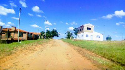 Immagine alternativa