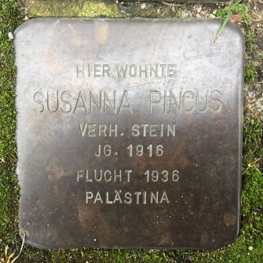 Stolperstein en memoria de Susanna Pincus