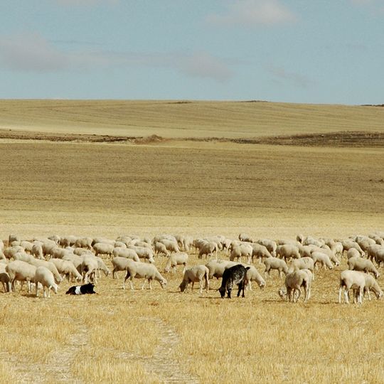 Meseta Sur