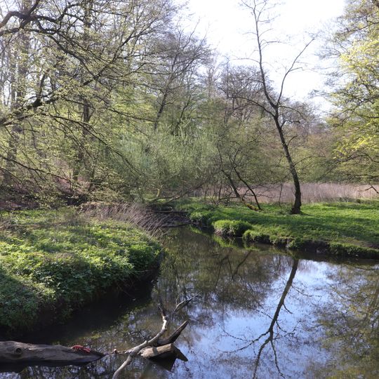 Wälder im Sachsenwald und Schwarze Au