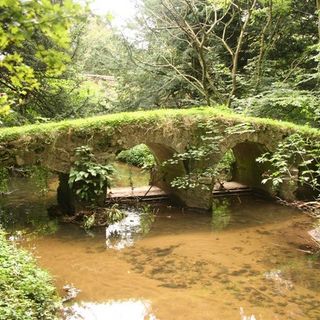 Pack Horse Bridge North East of the Abbey in Abbey Grounds
