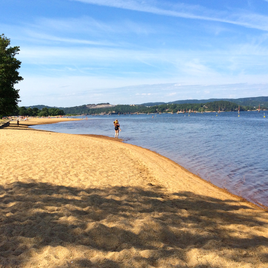 Einhegung von Hamremoen