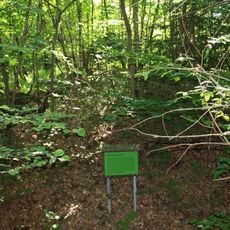 Lichtenstein Castle (Greifenstein)