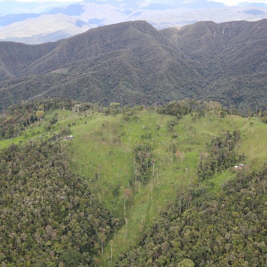 Alto Mayo Protection Forest