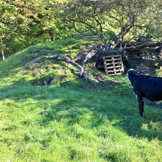 Icehouse North East Of Read Hall