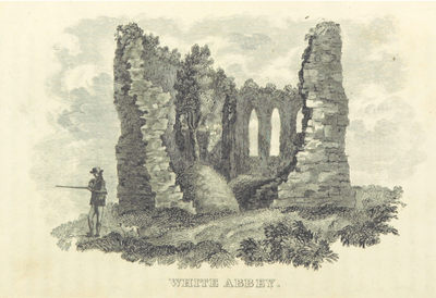 Immagine alternativa