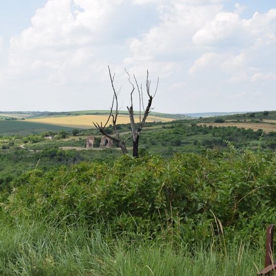 Distretto di Podil's'k