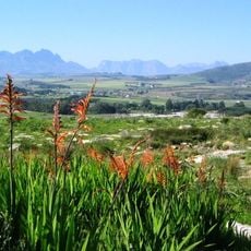 Bracken Nature Reserve