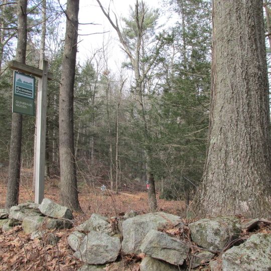 Quinebaug Woods