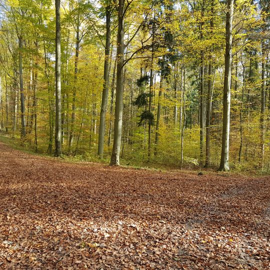 Nordöstliches Tauberland