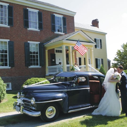 Clover Forest Plantation