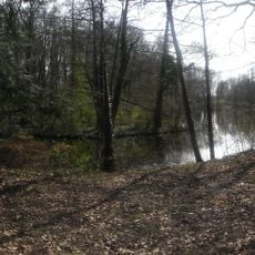 Steinberg pond